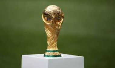 Qatar 2022: Estos son los equipos favoritos a ganar el Mundial